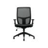 Hot Mesh Back Luxhide Task Chair, Black (OTG3191BL20) Office Chairs