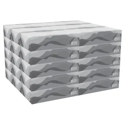 Pacific Blue Basic Facial Tissue, 2-ply, 100 Tissues/Box, 30 Boxes/Pack (47410)