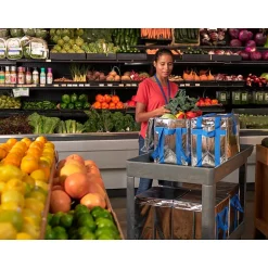 Food Storage Containers<PACKiT Fresh Eco Freeze Tote, Large, Silver/Blue, 4/Carton (PKF-UD-MAG)