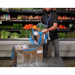 Food Storage Containers<PACKiT Fresh Eco Freeze Tote, Large, Silver/Blue, 4/Carton (PKF-UD-MAG)