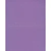 Online Sunworks 9" x 12" Construction Paper, Violet, 50 Sheets/Pack, 5/Pack (68831-PK5) Construction Paper