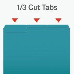 Pendaflex Heavy Duty File Folder, 1/3-Cut Tab, Letter Size, 100/Box (1006995) New