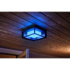 Smart Bulbs<Philips Econic Hue LED Wall Outdoor Light, Glass (1743830V7)