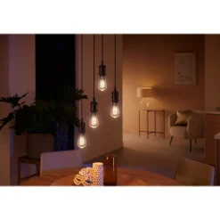 Smart Bulbs<Philips Hue Ambiance Light Bulb, ST19 2100K-4500K 7W E26 (563585)