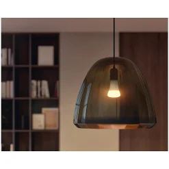 Smart Bulbs<Philips Hue 100W Equivalent A21 LED Smart Bulb, Soft Warm White (580845)