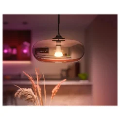 Smart Bulbs<Philips Hue White Light Bulb, A21 16 Million Colors 16W E26 (562982)