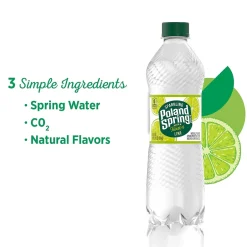 Bottled Water<Poland Spring Sparkling Water, Zesty Lime, 16.9 oz. Bottles, 24/Carton (12349570/122058)
