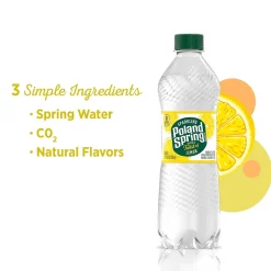 Bottled Water<Poland Spring Sparkling Water, Lively Lemon, 16.9 oz. Bottles, 24/Carton (12349569/100965)
