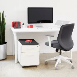 Discount Stow 2-Drawer Mobile Vertical File Cabinet, Letter/Legal Size, Lockable, 21.5"H x 15.75"W x 20"D, Light Gray (104732) File Cabinets