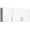 Online ™ 24" Elite Wall Cabinet, White Storage Cabinets