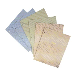 Pukka Pad Haze 3-Hole Punched 2-Pocket Cardstock Portfolio Folders, Assorted Colors, 6/Pack (9980(AST)-HZE) Online