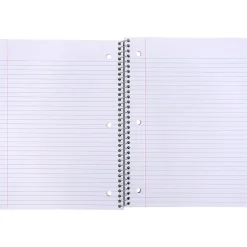 Pukka Pad Haze 1-Subject Notebooks, 8