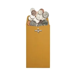 Quality Park #10 Clasp & Moistenable Glue Kraft Catalog Envelope, 3.38" x 6", Brown Kraft, 100/Box (QUA37010)* Catalog