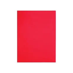 Quality Park Clasp & Moistenable Catalog Envelopes, 9" x 12", Red, 10/Pack (QUA38734)* Catalog