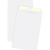 Quality Park Gummed Catalog Envelope, 6" x 9", Woven White, 500/Box (40788)* Catalog