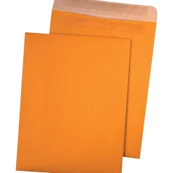 Quality Park Redi-Seal Kraft Catalog Envelope, 9" x 12", Brown, 100/Box (43511)* Catalog