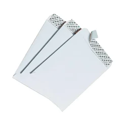 Quality Park Redi-Strip Catalog Envelopes, 6" x 9", White Wove, 100/Box (QUA44182)* Catalog