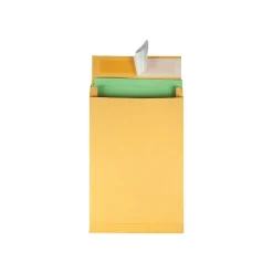 Quality Park Self Seal Kraft Catalog Envelopes, 9"L x 12"H, Kraft, 25/Box (QUA93334)* Catalog