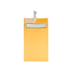 Quality Park Self Seal Kraft Catalog Envelopes, 10"L x 13"H, Brown, 25/Pack (QUA93336)* Catalog