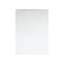 Quality Park Survivor Tyvek Self Seal Catalog Envelopes, 10"L x 13"H, White, 25/Box (QUAR4202)* Catalog