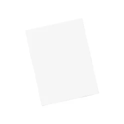 Quality Park Tech-No-Tear Redi-Strip Catalog Envelopes, 9" x 12", White, 100/Box (QUA77390)* Catalog