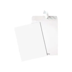 Quality Park Tech-No-Tear Redi-Strip Catalog Envelopes, 9