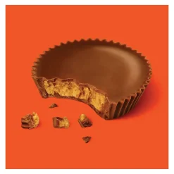 Chocolate<Reese's Snack Size Peanut Butter Cups, 19.5 oz. (246-00012)