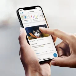 Security Cameras & Systems<Ring Floodlight Cam Pro Outdoor Wireless Security Camera, White (B0CG6VFFVL)