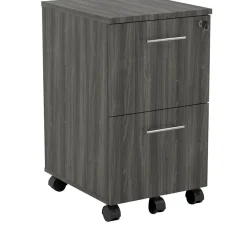 Outlet Medina 2-Drawer Mobile Vertical File Cabinet, Letter Size, Lockable, 26.75"H x 15.5"W x 18"D, Gray (MNFFLGS) File Cabinets