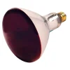 Light Bulbs<Satco Lighting 250-Watt Red Heat Incandescent Specialty Bulb, Dozen (S4998)