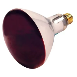 Light Bulbs<Satco Lighting 250-Watt Red Heat Incandescent Specialty Bulb, Dozen (S4998)