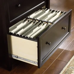 Online Edge Water 2-Drawer Lateral File Cabinet, Letter/Legal Size, Estate Black (409044) File Cabinets