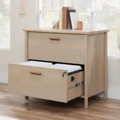 Discount Whitaker Point Commercial 2-Drawer Lateral File Cabinet, Letter/Legal Size, Lockable, 31