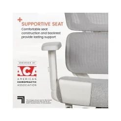 Clearance S-850 Ergonomic Mesh Swivel Computer and Desk Chair, Light Gray/White (60106-LGRYWHT) Office Chairs
