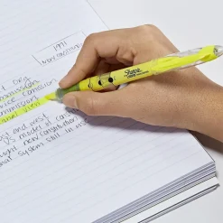 Sharpie Liquid Highlighter, Chisel Tip, Assorted, 5/Pack (24575PP) Discount