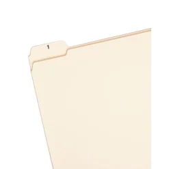Smead Indexed File Folder Set, Daily (1-31) Folders, Reinforced 1/5-Cut Tab, Letter Size, Manila, 31 per Set (11769) Online