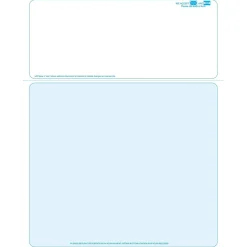 Outlet Solid Color Laser Statements, Style B, with Credit Card Information, Blue Security & Carbon