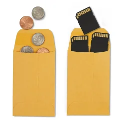 Staples #1 Currency Envelopes, 2 1/4" x 3 1/2", Kraft, 250/Box (ST19726-CC)* Business