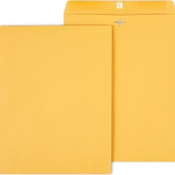 Staples Clasp & Moistenable Glue #15.5 Kraft Catalog Envelopes, 12" x 15.5", Brown, 100/Box (472902/19273)* Catalog