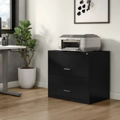 2-Drawer Lateral File Cabinet, Letter/Legal Size, Lockable, 27.3
