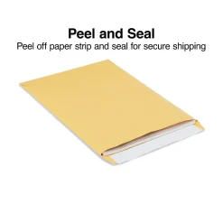 Staples EasyClose Kraft Catalog Envelopes, 10"L x 13"H, Brown, 100/Box (381969/19023)* Security Tinted