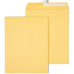 Staples EasyClose Kraft Catalog Envelopes, 10"L x 13"H, Brown, 250/Box (479889/14238)* Security Tinted