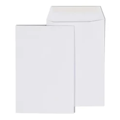 Staples Economy Gummed Catalog Envelopes, 6" x 9", White, 250/Box (50303T)* Catalog