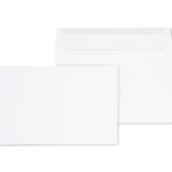 Staples Gummed Booklet Envelopes, 6" x 9", White, 250/Box (472852/19306)* Business