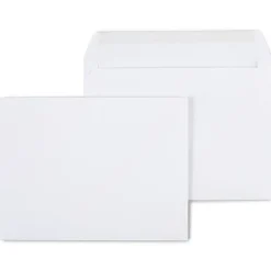 Staples Gummed Booklet Envelopes, 9" x 12", White, 100/Box (473009/19307)* Business