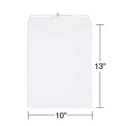 Staples Gummed Catalog Envelopes, 10