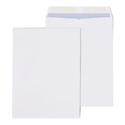 Staples Gummed Catalog Envelopes, 9" x 12", White, 25/Pack (ST579712N-CC)* Security Tinted