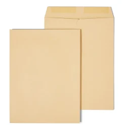 Staples Gummed Kraft Catalog Envelopes, 9"L x 12"H, Brown, 100/Box (SPL194969)* Catalog