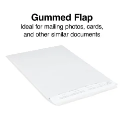 Staples Gummed Kraft Catalog Envelopes, 9" x 12", Gray, 100/Box (SPL381968)* Catalog