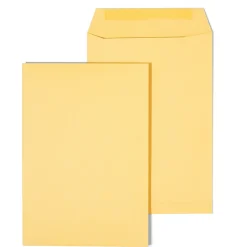 Staples Gummed Kraft Catalog Envelopes, 6.5" x 9.5", Brown, 100/Box (SPL534701)* Catalog